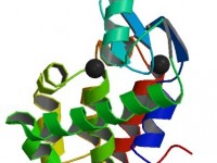 1l66_bio_r_500