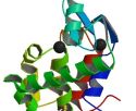 Macromoléculas: el PDB (Protein Data Bank)