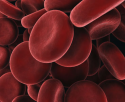 Soluciones amortiguadoras en nuestro cuerpo: la sangre
