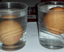 Un experimento sencillo con la densidad del agua: ¿el huevo flota o se hunde?