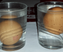 Un experimento sencillo con la densidad del agua: ¿el huevo flota o se hunde? Un experimento sencillo con la densidad del agua: ¿el huevo flota o se hunde?