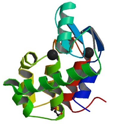 Ejemplo de estructura del PDB