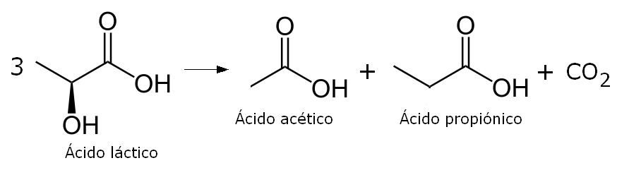 Reacción de fermentación del ácido láctico en el queso emmental