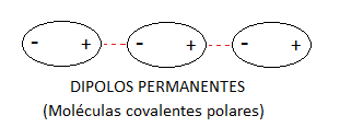 Dipolos permanentes en las moléculas covalentes polares: establecimiento de fuerzas intermoleculares