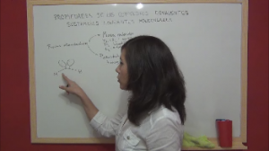 Vídeo explicativo propiedades de las sustancias covalentes moleculares formadas por moléculas individuales unidas por fuerzas intermoleculares débiles.