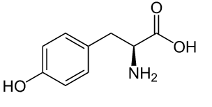 Estructura química del aminoácido tirosina
