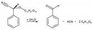 Producción de cianuro, benzaldehído y glucosa por descomposición de amigdalina