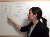 Primer apartado de termodinámica química