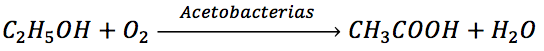 El etanol se transforma en ácido acético mediante la acción de las acetobacterias