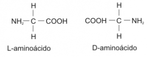 Distintos tipos de aminoácidos: imagen especular