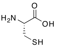 La cisteína, un aminoácido que contiene azufre