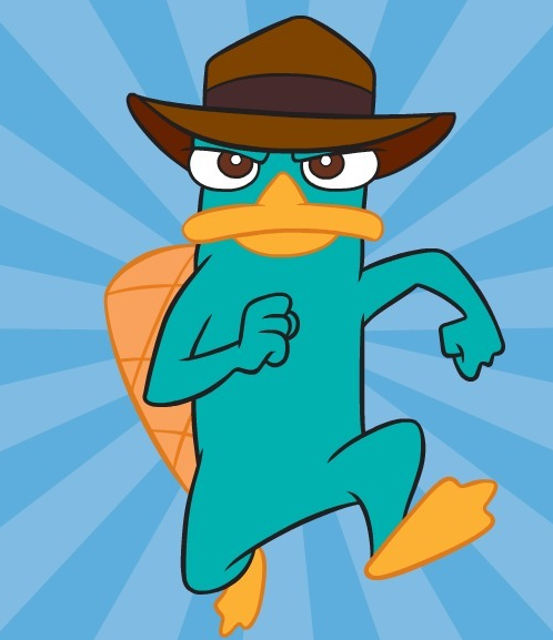 Perry ornitorrinco