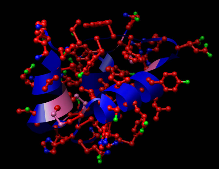 Estructura química de la hormona insulina