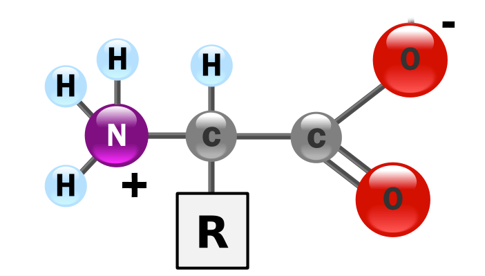 Estructura genérica de un alfa-aminoácido en forma zwiteriónica