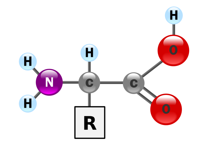 Estructura genérica de un alfa-aminoácido