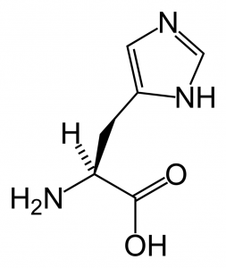 Histidina