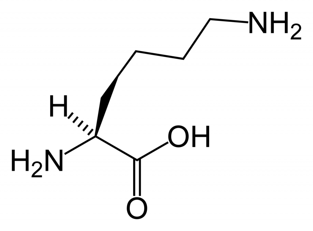 estructuraquimicaaminoacidolisina