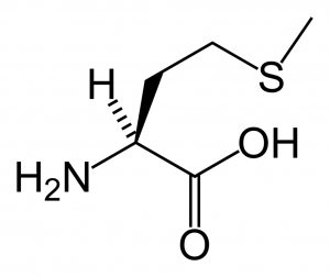 Metionina