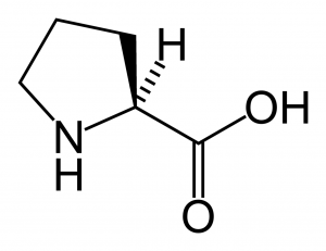 Prolina