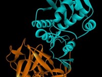 Estructura química de la proteína ricina