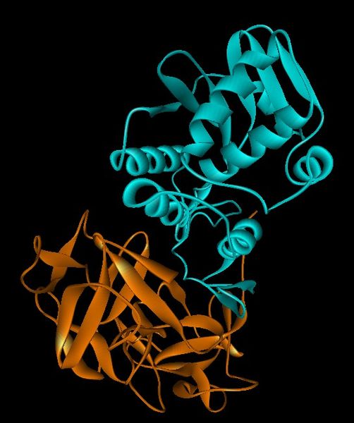 Estructura química de la proteína ricina