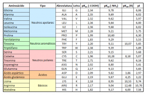 Punto isoeléctrico y pKa de los distintos aminoácidos