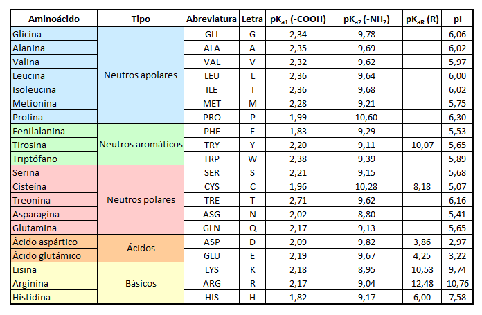 Aminoacidos en cetosis