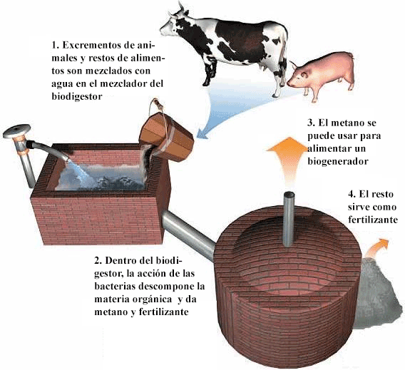 Generación sencilla de biogás