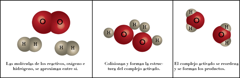 Complejo activado entre el oxígeno y el hidrógeno