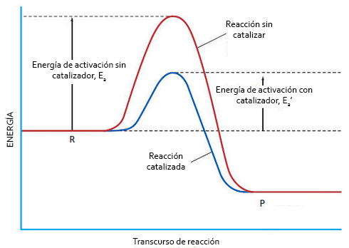 Reacción con catalizador: disminución de la energía de activación