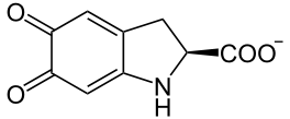 Estructura química del L-dopacromo