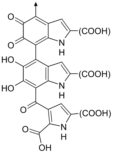 Estructura química de la eumelanina